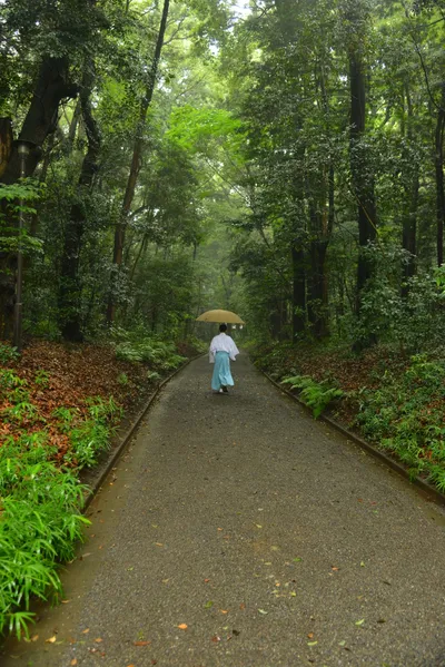 DSC_3271 (Large).JPG